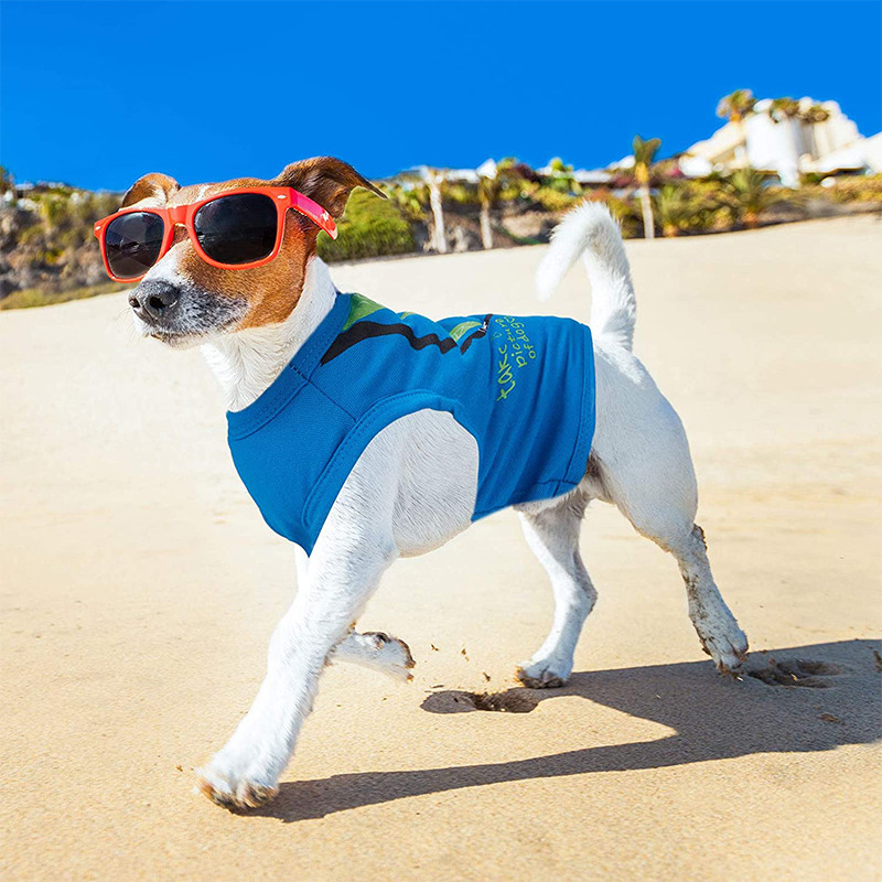 Kutyaruhák Nyári kisállat póló Menő kölyök ingek Kutya mellény Puha, légáteresztő kutya pulóver kis közepes kutyáknak macskáknak chihuahua