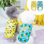 Nyári kisállat kutyaruhák vékony kutyahűtő mellény lélegző hálós kisállatruházat gyümölcsnyomtatás kis közepes kutyák macskák chihuahua póló