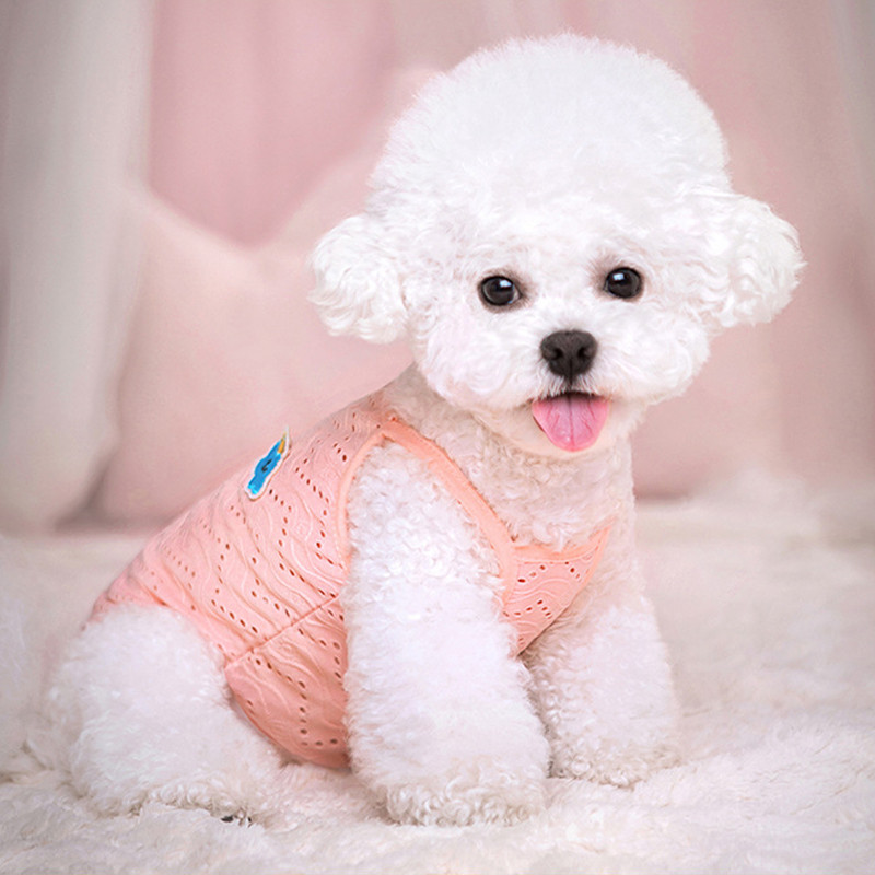 Suvine koera jahutusvest Hingav võrkriided Kutsika kostüüm Bichon Frise Chihuahua Riided Lemmikkoera riided Koera T-särk Vest