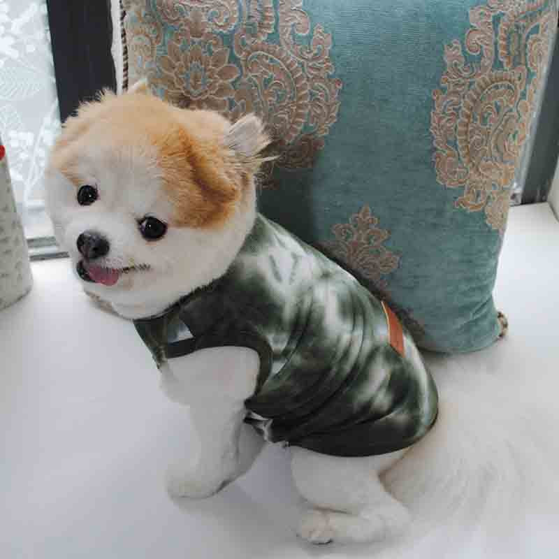 Minkšta šunų liemenė mažam ir vidutiniam šuniui katės drabužiai šuniukui ploni kvėpuojantys marškinėliai Čihuahua prancūzų buldogo mopso kostiumai šunų reikmenys