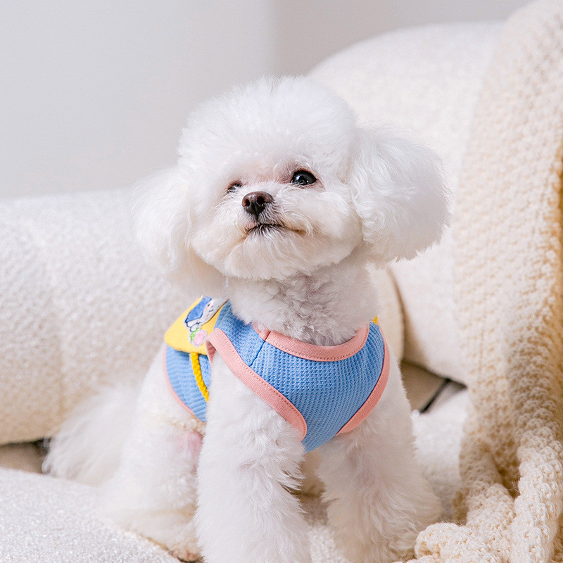 Cute Rabbit Satchel suņu sukains Dzīvnieku izšūta veste Bišons Divkājains Mīksts Suņu Apģērbs Vasaras Elpojošs Apģērbs