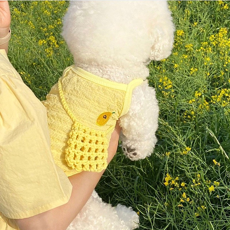 Citromos nyomtatás Kisállat Sling Mellény Nyári Kutyák Ruhák Egyszínű kutyapóló Vékony Légáteresztő narancssárga kis közepes Chihuahua Perro