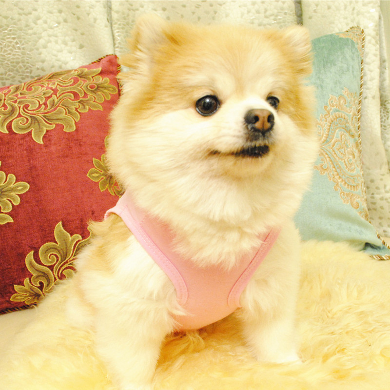 Védi a bőrt Szép kisállat kutyák macskák póló ruhák bő nyakú ruha, imádnivaló otthoni viselethez Kiskutya macska jelmez kabát Bulldog Chihuah