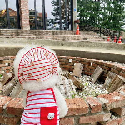 Vasaros dryžuoto šuns drabužiai su liemene yra kepurė Pet Sling Meškiukas Pomeranijos šunys Šuniukas Jorkšyro šuns Apranga Drabužiai Šuns marškinėliai