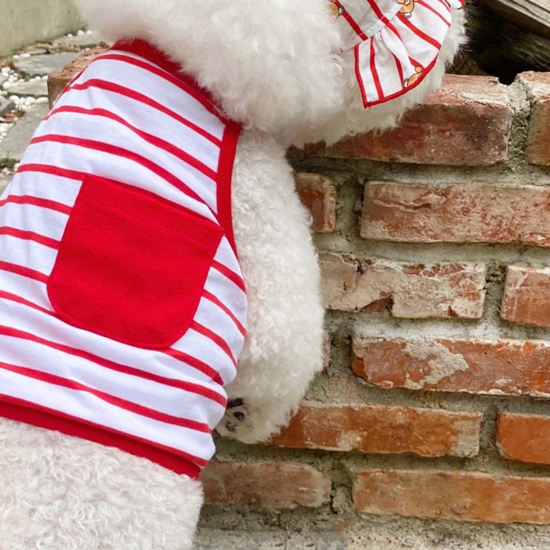 Vasaros dryžuoto šuns drabužiai su liemene yra kepurė Pet Sling Meškiukas Pomeranijos šunys Šuniukas Jorkšyro šuns Apranga Drabužiai Šuns marškinėliai