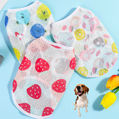 Nyári vékony kutyamellényruhák Rajzfilm Gyümölcsös Nyomtatott Kisállat Beach Ujjatlan pulóver Macskapóló Fényvédő Kölyökruházathoz