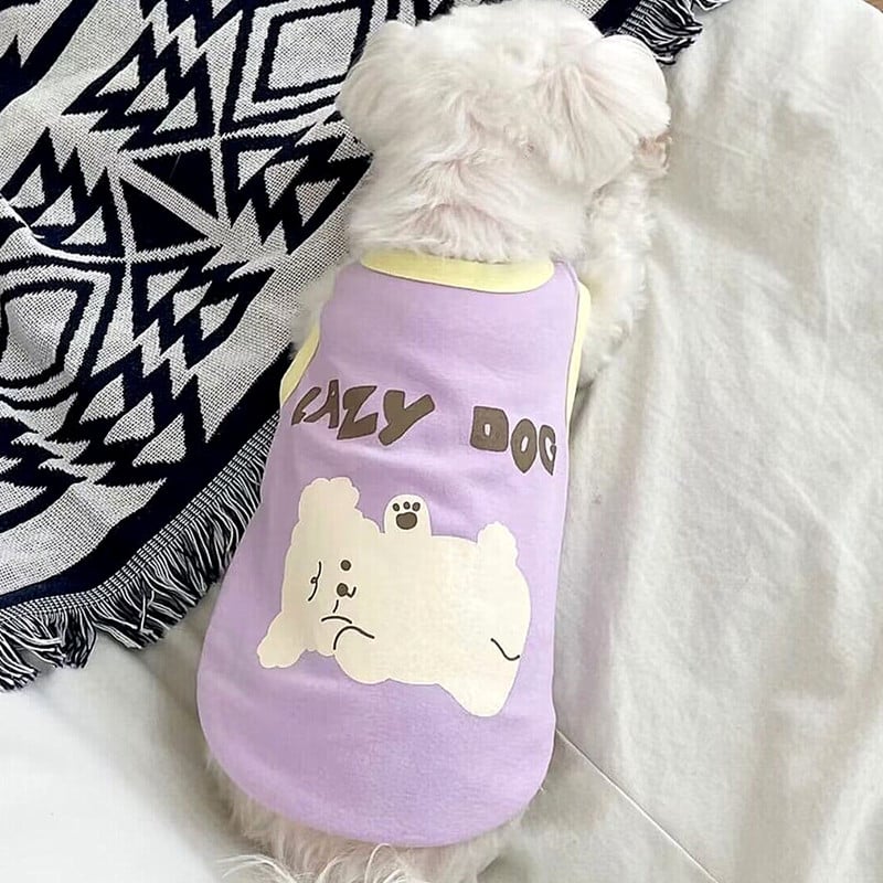 Kiskutya nyári mellény, mint medve Rajzfilm ruhák uszkár puha pulóver kölyök póló Kutya kétlábú ruhák