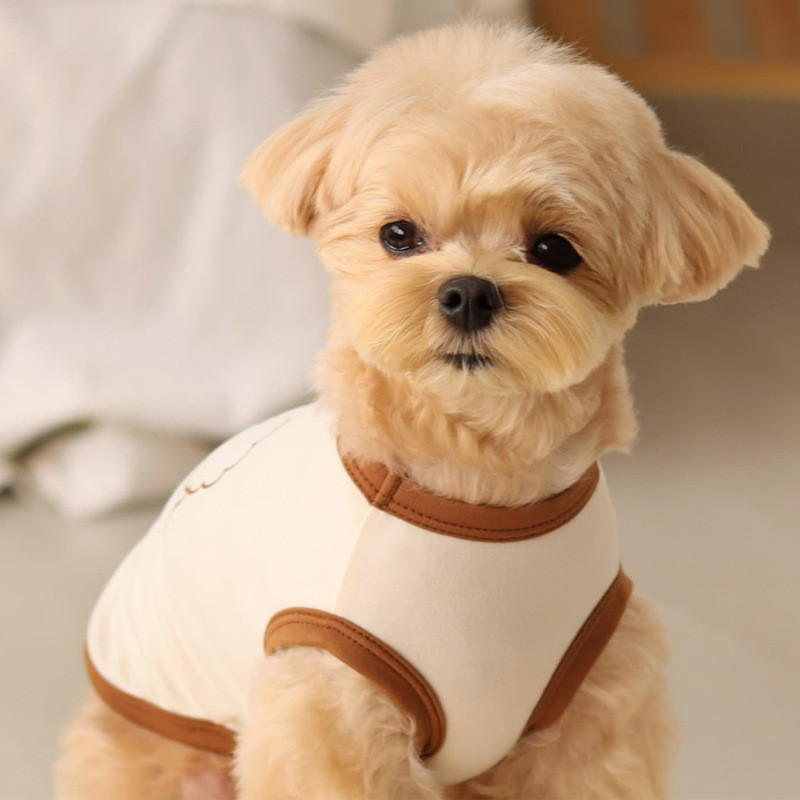 Döntetlen színű kölyökmellény légáteresztő vékony stílusú kétlábú ruhák kisállat nyári ruhák mackópulóver rajzfilm kutyapóló