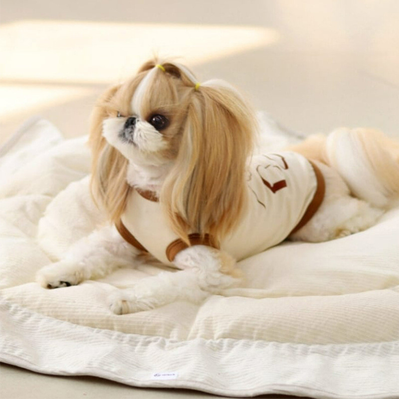 Döntetlen színű kölyökmellény légáteresztő vékony stílusú kétlábú ruhák kisállat nyári ruhák mackópulóver rajzfilm kutyapóló