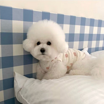Κουτάβι Σκύλος Άνοιξη/Καλοκαίρι Κορεάτικη Έκδοση Cute Little Rabbit/Bear Printed Top Tank Top Cute Pet με δύο πόδια Ρούχα σκύλου για κατοικίδια