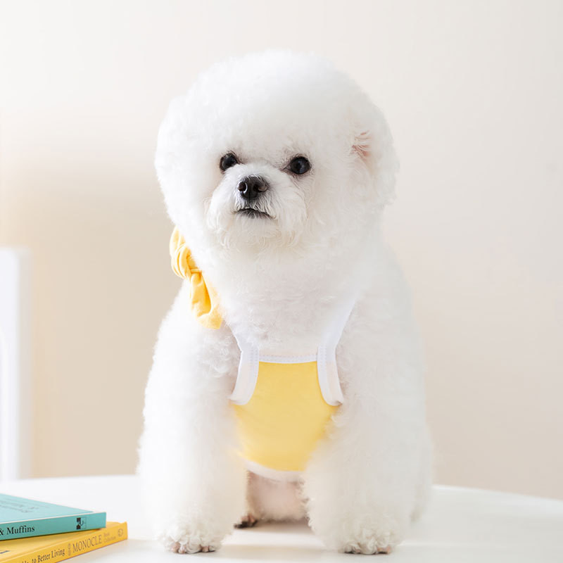 Macaron Color Drabužiai augintiniams šuniuko lanko kelnaitės nei lokio dviejų pėdų liemenė Vėsūs vasariniai drabužiai angliškai siuvinėti šunų drabužiai
