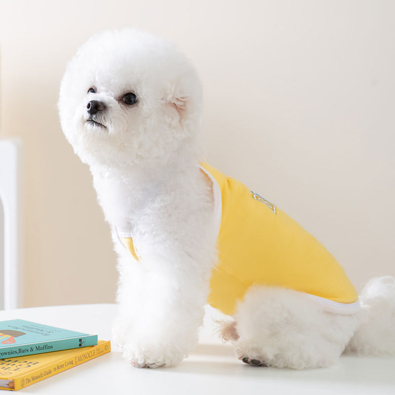 Macaron Color Drabužiai augintiniams šuniuko lanko kelnaitės nei lokio dviejų pėdų liemenė Vėsūs vasariniai drabužiai angliškai siuvinėti šunų drabužiai