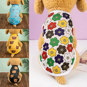 Rajzfilm Medve Légáteresztő kutyamellény Nyári Háziállatok Ruhák Macskák kölyök Yorkies Francia Bulldog Kis fajták Kutyák Ruhák Aranyos póló