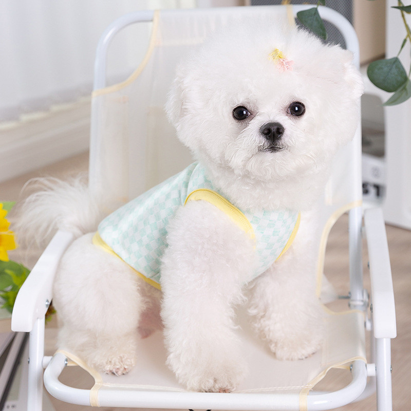 Kontrastingas šachmatų lentelės raštas Naminių gyvūnėlių liemenė Šuo Pavasario Vasaros Drabužiai Maži Šunų Bišonai Meškiukai Drabužiai Mažų Kačių Drabužiai Naminiams gyvūnėliams