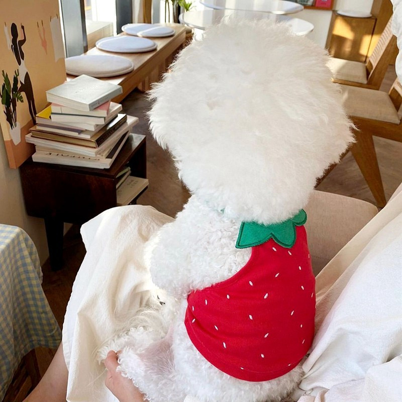 Summer Dog Cute Fruit Sling Kitten Puppy Sweet Vest Kis és közepes méretű kutya pulóver mellény Chihuahua Yorkshire