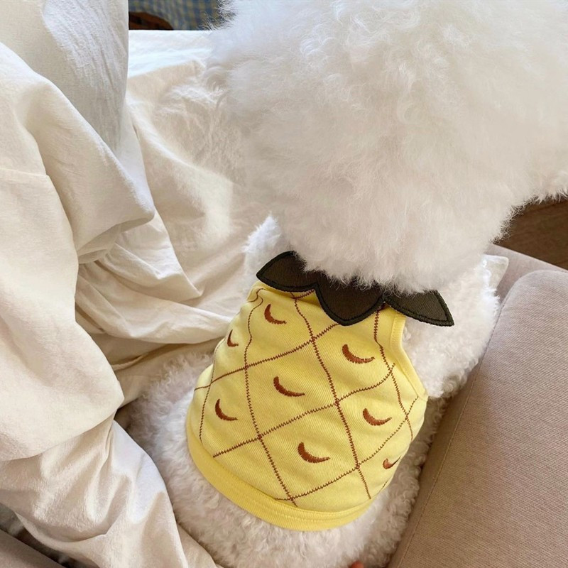 Summer Dog Cute Fruit Sling Kitten Puppy Sweet Vest Kis és közepes méretű kutya pulóver mellény Chihuahua Yorkshire