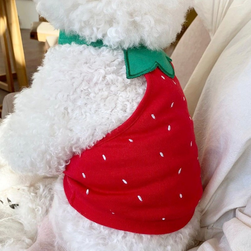 Summer Dog Cute Fruit Sling Kitten Puppy Sweet Vest Kis és közepes méretű kutya pulóver mellény Chihuahua Yorkshire