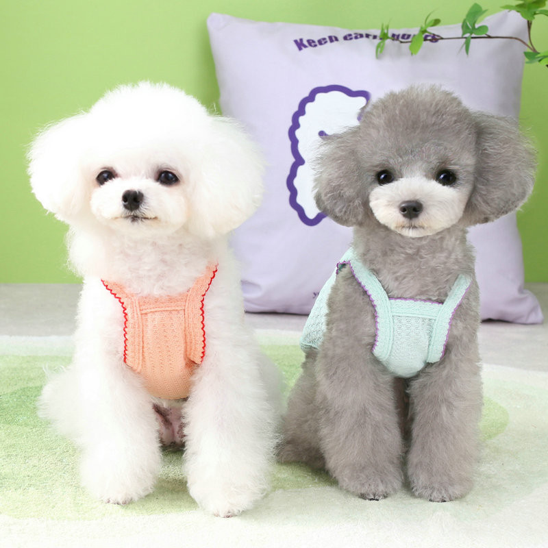 Suvine lemmikloomavest väikestele ja keskmistele koertele Riided Kutsika kassi T-särk Moodne Chihuahua särk Hingav mops riided Koerte tarvikud