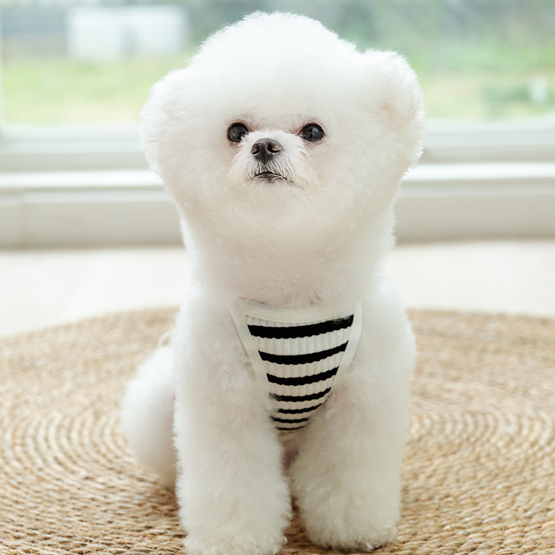 Kölyökkutya nyár Kölyöktűs leggings Szőtt csíkos medve mellény maci ruhák kis közepes méretű kutyaharisnya lélegző ruha