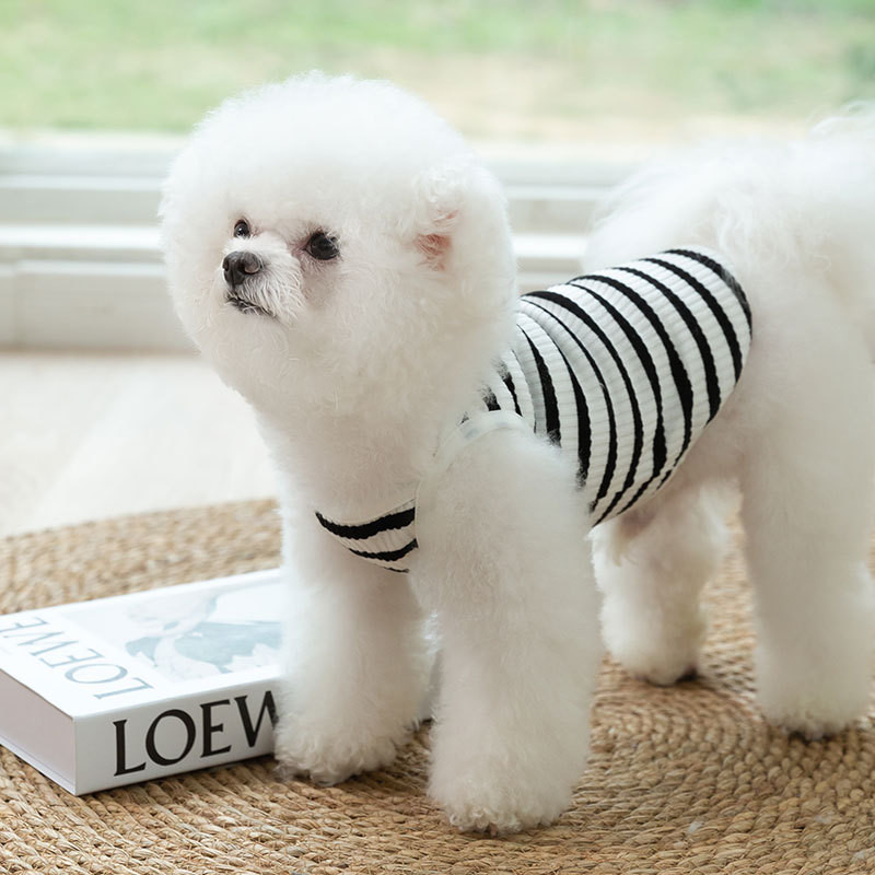 Kölyökkutya nyár Kölyöktűs leggings Szőtt csíkos medve mellény maci ruhák kis közepes méretű kutyaharisnya lélegző ruha