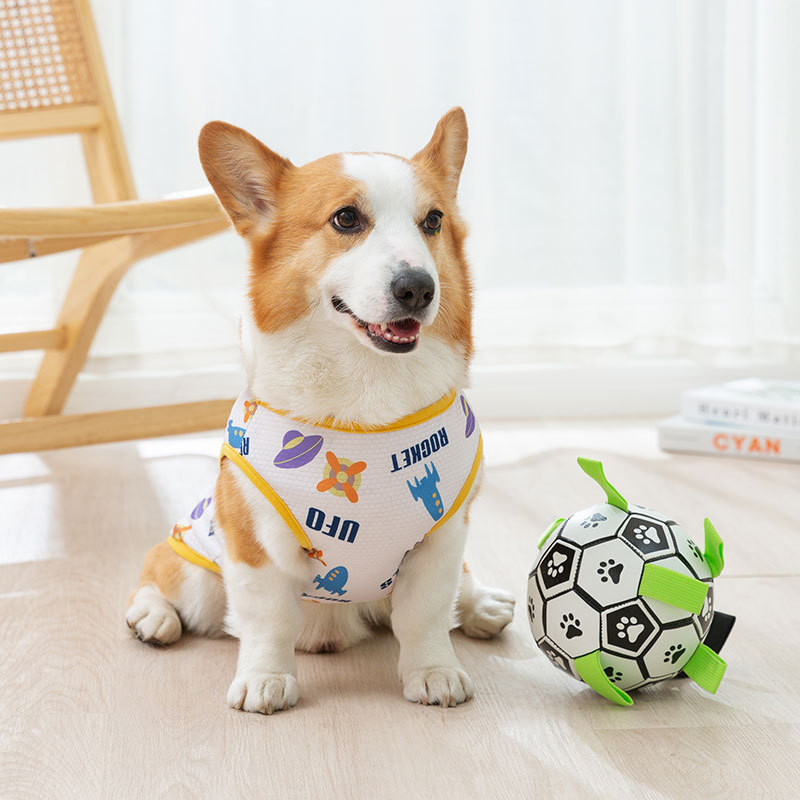 Space Full Print Corgi Speciális mellény Kis és közepes méretű kutya tacskó kutya kisállat ruhák nyári kutyaruhák XS-XLL