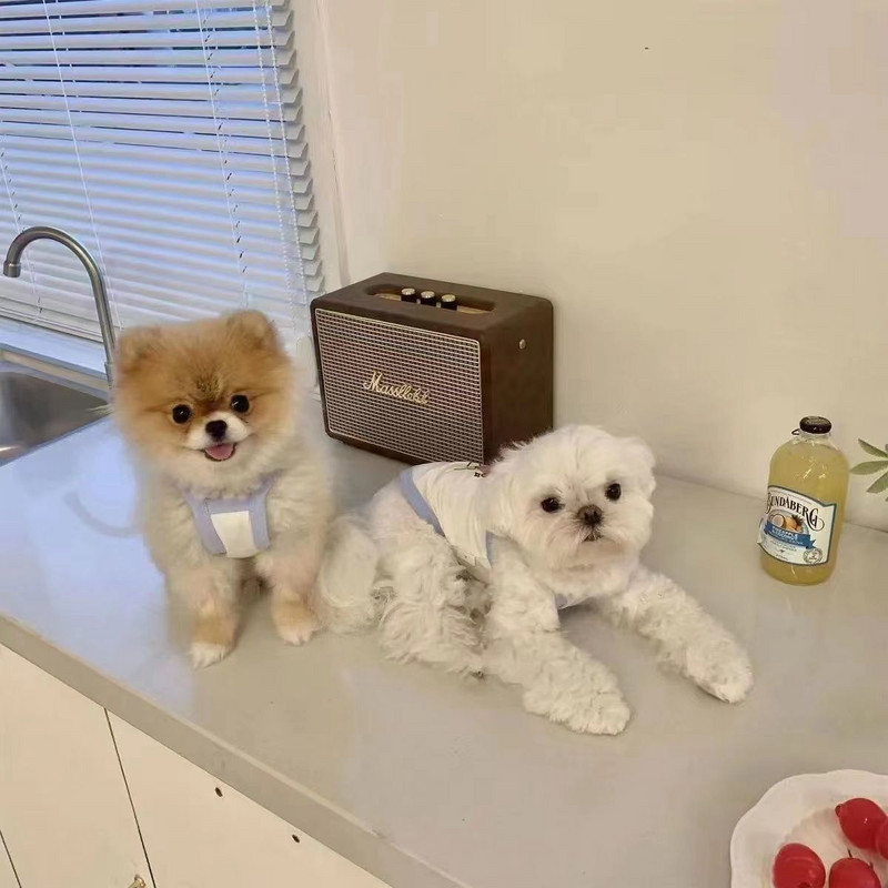 Nyári vékony szekciós kisállat camisole aranyos print pár kiskutya macska ruhák chihuahua yorkshire kutya mellény lélegző kis kutya ruhák