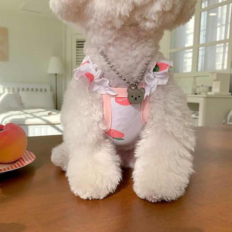 Suvine õhuke lemmikloomatops Armas virsiku rihmaga paak šnautser Teddy Yorkshire`i pomeranian väike koer kass koera riided kutsikate riided