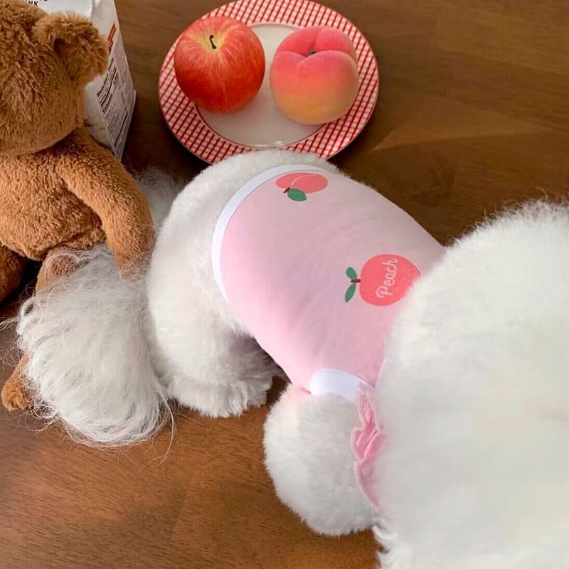 Suvine õhuke lemmikloomatops Armas virsiku rihmaga paak šnautser Teddy Yorkshire`i pomeranian väike koer kass koera riided kutsikate riided