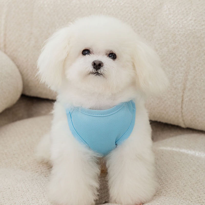 Macaron Color Koerariided Tractable Kutsika Vest Suvine Õhuke Stiil Kahe jalaga Riietus Lemmiklooma ühevärviline Suspender Pehme Pullover