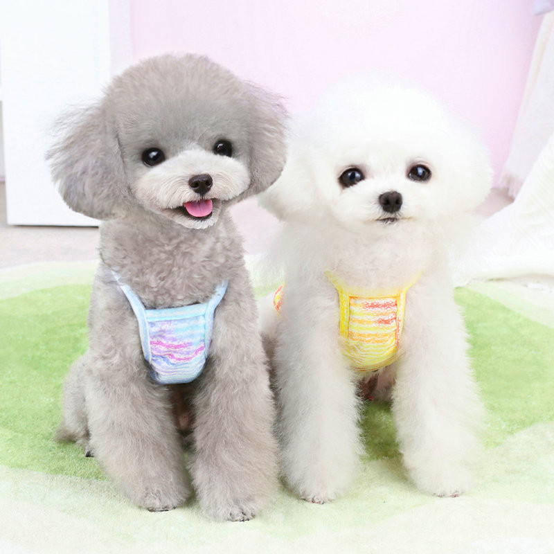 2023. gada jauns mājdzīvnieku apģērbs Vasaras foršs, ērts suņu veste kucēnu iekares Drēbes Teddy Fashion Divkāju apģērbi XS-XL