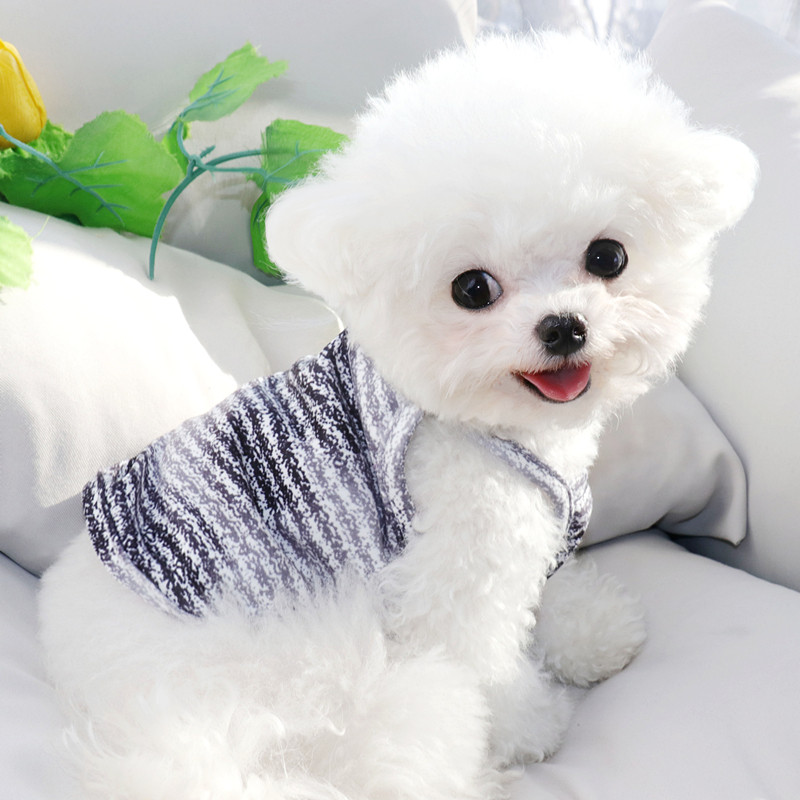 2023. gada jauns mājdzīvnieku apģērbs Vasaras foršs, ērts suņu veste kucēnu iekares Drēbes Teddy Fashion Divkāju apģērbi XS-XL