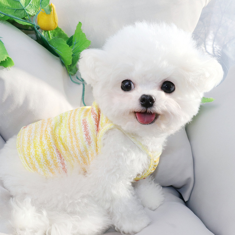 2023. gada jauns mājdzīvnieku apģērbs Vasaras foršs, ērts suņu veste kucēnu iekares Drēbes Teddy Fashion Divkāju apģērbi XS-XL
