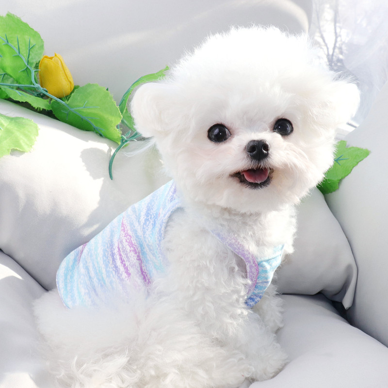 2023. gada jauns mājdzīvnieku apģērbs Vasaras foršs, ērts suņu veste kucēnu iekares Drēbes Teddy Fashion Divkāju apģērbi XS-XL