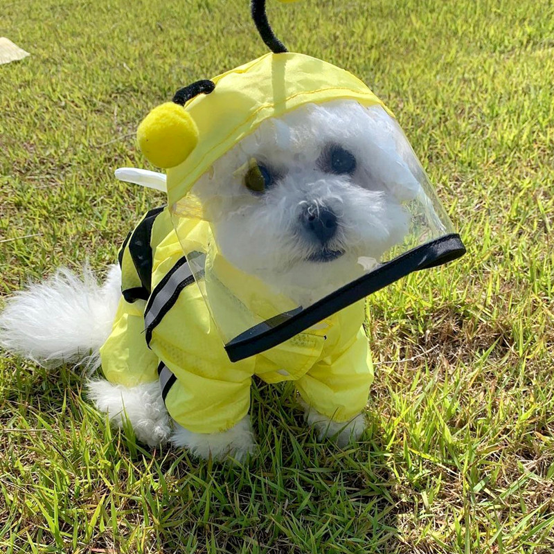 Méhkutya esőkabát Négylábú vízálló, all inclusive Artifact mackó háziállatruházat kis kutyás esőponcsó XS-XL