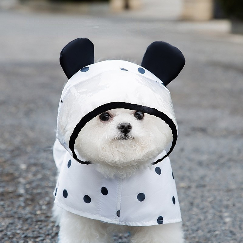 Nyári kisállat esőkabát Aranyos medvefül vízálló ruházat kis és közepes méretű kutyáknak cica kölyök esőfülke Chihuahua uszkár