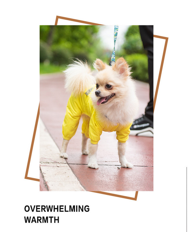 1tk Talvised lemmikloomariided koerariided kaisukoera vihmamantel Peegeldav lume- ja tuulekindel Väikese ja keskmise lemmiklooma kassi riided