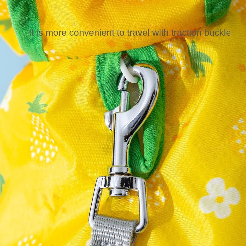 Tavasz nyár kisállat ruhák cica kiskutya aranyos rajzfilm mintás esőkabát Kis és közepes méretű kutya vízálló poncsó uszkár máltai