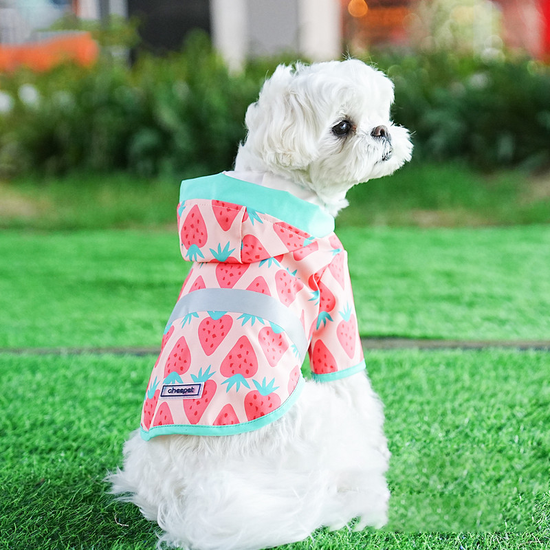 Pet Cat Dog Αδιάβροχο με κουκούλα αντανακλαστικό κουτάβι Μικρό σκυλί Rain παλτό Ρούχα για σκύλους κατοικίδιων ζώων Αδιάβροχη εκτύπωση φρούτων για σκύλους Μπουφάν για κατοικίδια