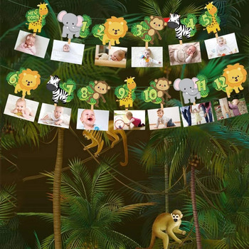 1st Jungle Animal Birthday Photo Banner Garland 12 Month Bunting Safari Wild One Year Baby Birthday Party Decoration Supplies