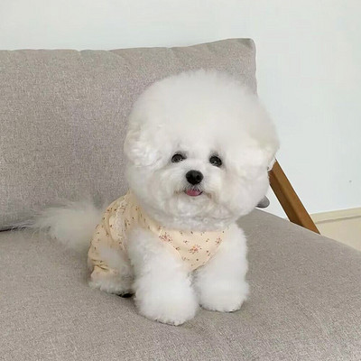 Mājdzīvnieku suņu drēbes Mazas puķainas četrkājainas drēbes Elpojošas vasaras drēbes nekā lācis Mājas drēbes Pūdelis viengabala apģērba veste