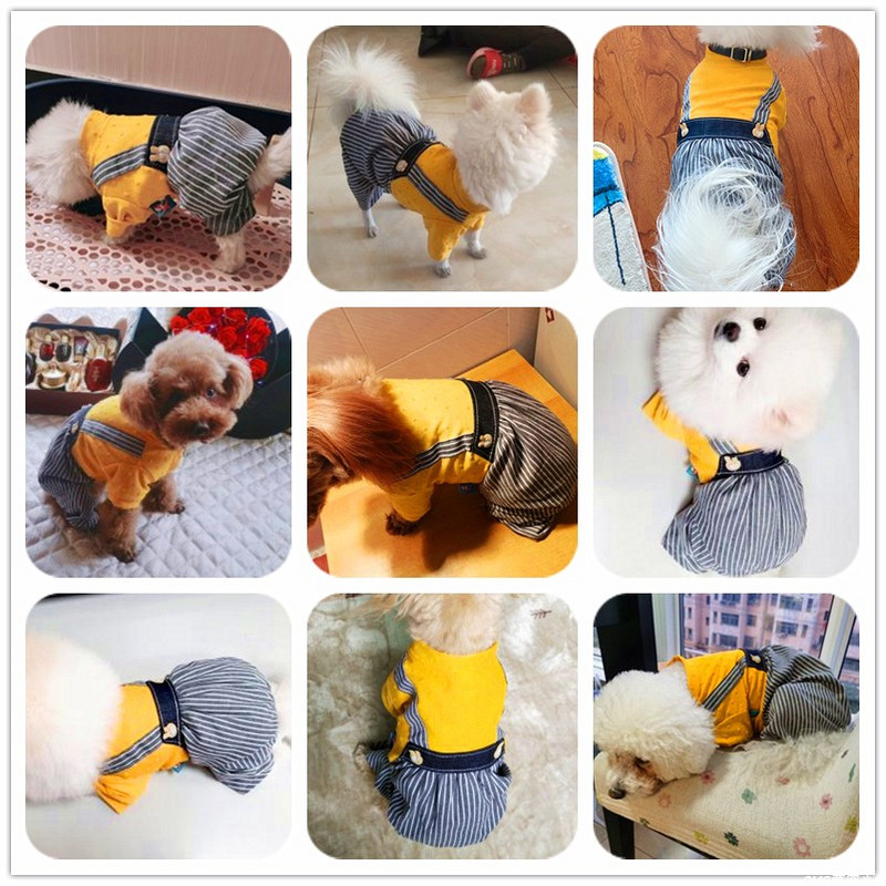 Salopetă de iepure din denim pentru câine mic, mijloc, vară, primăvară, animal de companie, salopetă cu patru picioare, trening, cămașă, îmbrăcăminte, chihuahua, Shih Tzu, mărfuri