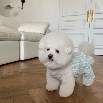 Kelnaitės Plaid Kombinezonai Naminių gyvūnėlių drabužiai Šunys Keturkojai Šunų Drabužiai Kostiumas Prancūzų buldogas Spaudiniai Mieli vasariniai smėlio spalvos berniukų talismanai