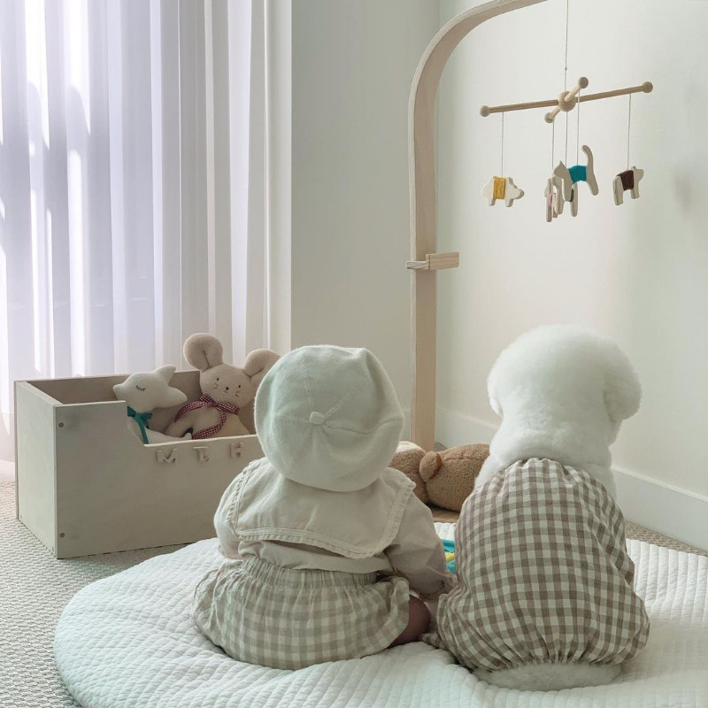 Kelnaitės Plaid Kombinezonai Naminių gyvūnėlių drabužiai Šunys Keturkojai Šunų Drabužiai Kostiumas Prancūzų buldogas Spaudiniai Mieli vasariniai smėlio spalvos berniukų talismanai