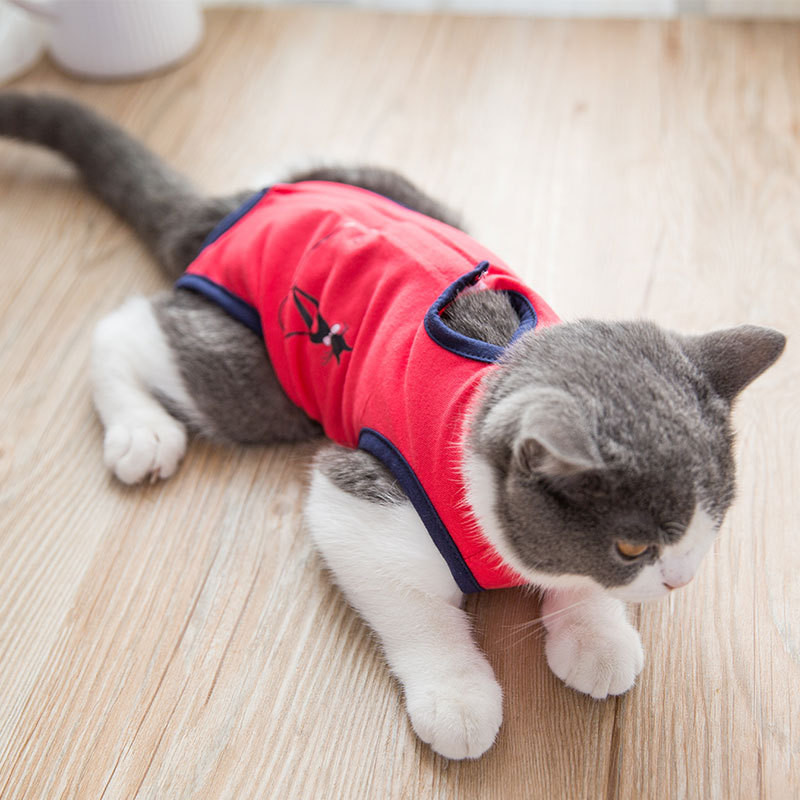 Naminių kačių šunų drabužiai pooperaciniai drabužiai naminių gyvūnėlių chirurginiai chalatai, kailis sterilizavimas nujunkymas nuo laižymo naminių kačių produktai, reikmenys