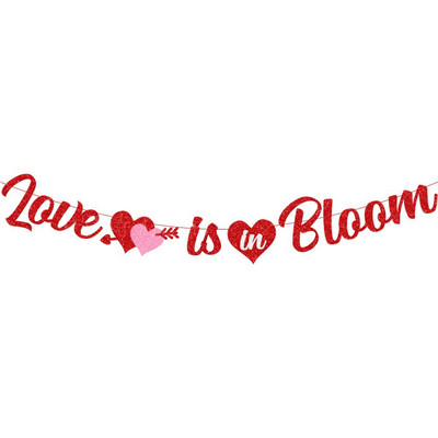 2M Valentino dienos kabantis papuošimas Reklamjuostė Blizgučiai Laiškai Meilės Širdies Gelbėjimo reklamjuostės Girliandos Valentino dienos vestuvių dekoracijos