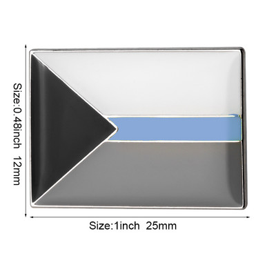 Demiseksuaalne uhkuse lipp Hall uhkus Alloromantiline aseksuaalne uhkus vikerkaar ja aseksuaalne demiromantiline uhkus Soofauni lipuga suur rinnanõel