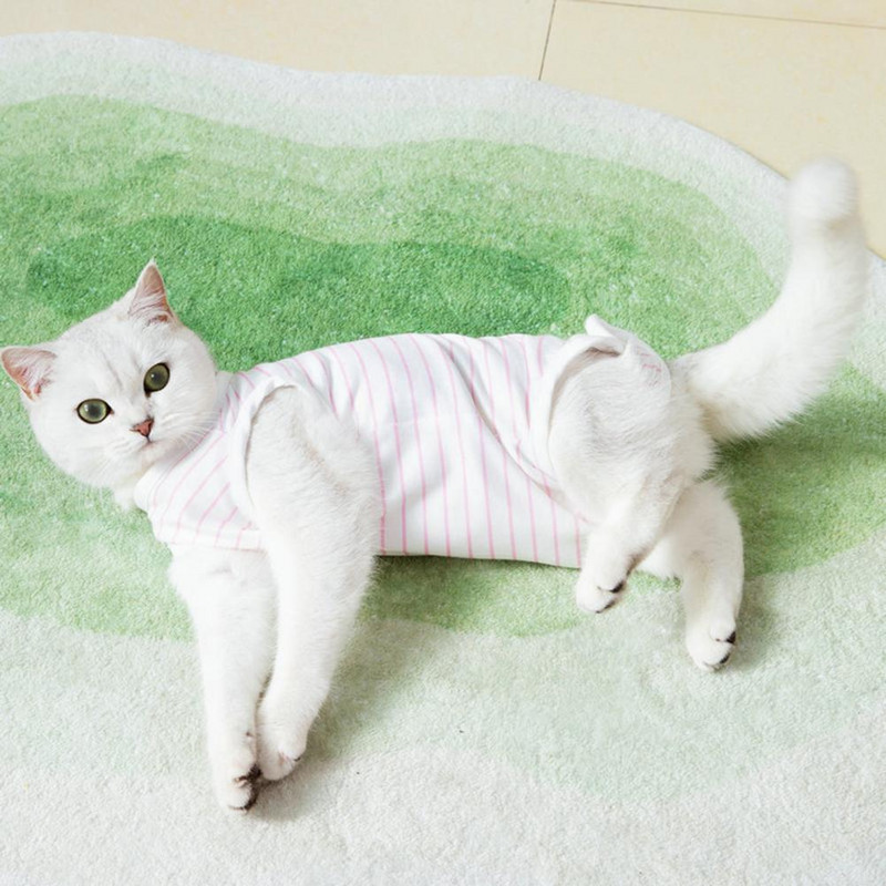 Stílusos csíkos nyomat kisállat sebészeti ruhák Könnyű kisállat helyreállítási öltöny Stripes mintás kisállat öltöny tavaszi kiegészítők