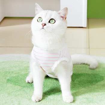 Ανθεκτική ταινία στερέωσης ρούχων απογαλακτισμού γάτας Ανθεκτική στη φθορά Κοστούμι για κατοικίδια Ρίγες Σχεδιασμός Ρούχα αποκατάστασης κατοικίδιων