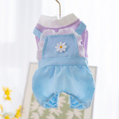 Pavasara suņu kombinezoni Kombinezoni Maziem suņiem Apģērbi Rompers Yorkie Pomeranian Shih Tzu Maltas pūdelis Bišons Šnaucers Mājdzīvnieku apģērbs