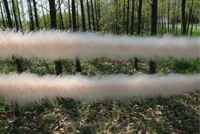 2 metri bieza, pūkaina tītara spalvu boa, mīksta pilna spalvu apdares svītra kāzu ballīšu kostīmu skatuves Cosplay DIY dekorēšanai